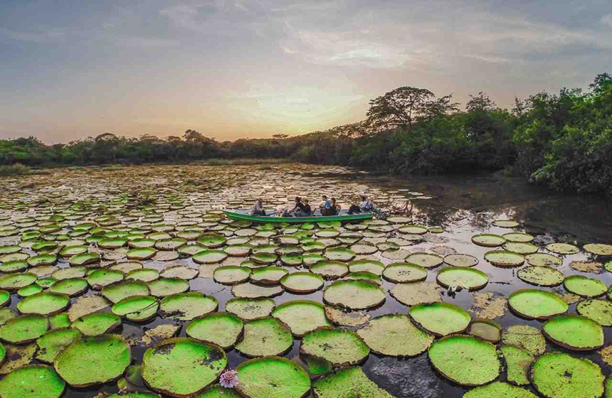 Guyana_NaturabenteurtGuyana_verschiedeneTerminen